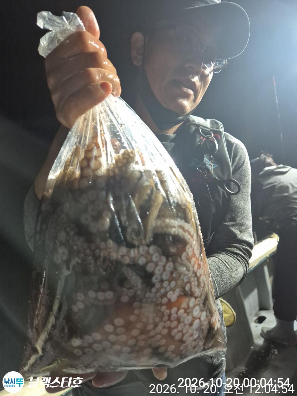 낚시뚜,돌문어,삼천포 팔포항,삼천포 블랙스타,낚시뚜24