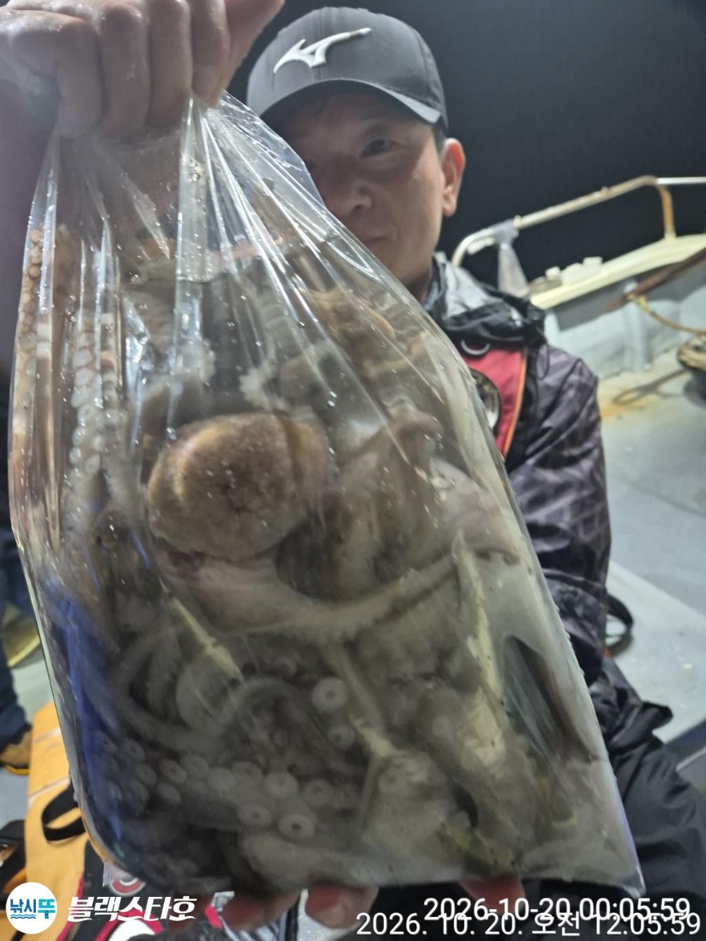 낚시뚜,돌문어,삼천포 팔포항,삼천포 블랙스타,낚시뚜20