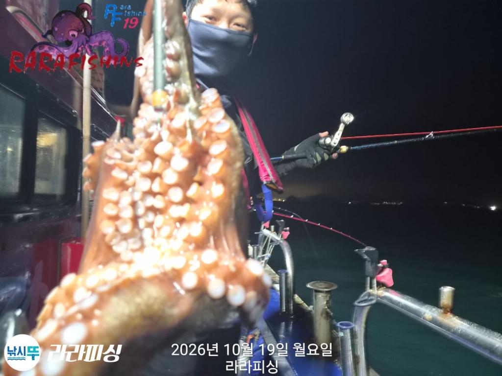 낚시뚜,돌문어,속천항(진해),라라피싱,낚시뚜16