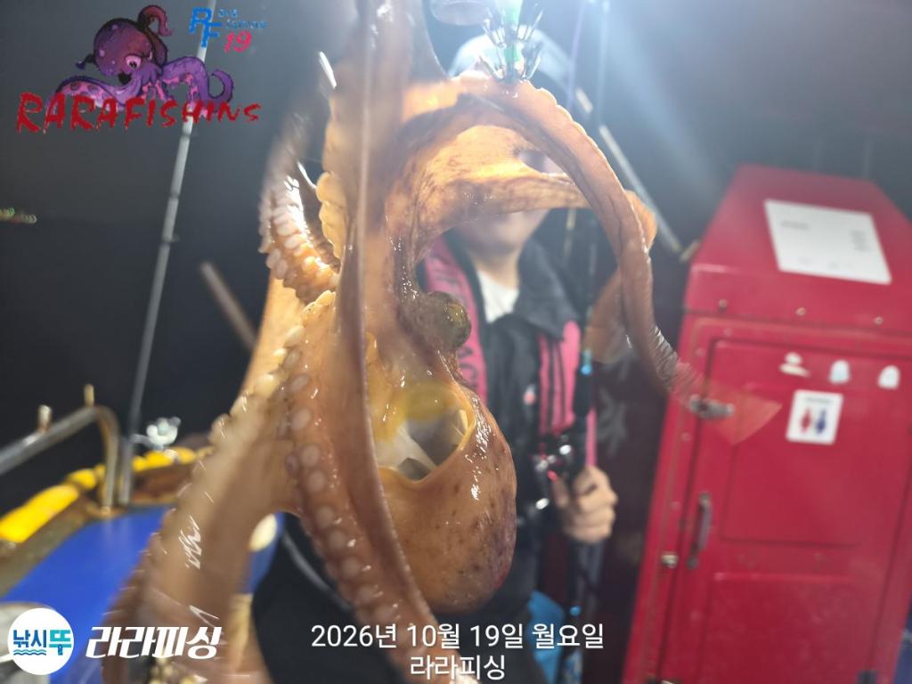 낚시뚜,돌문어,속천항(진해),라라피싱,낚시뚜14