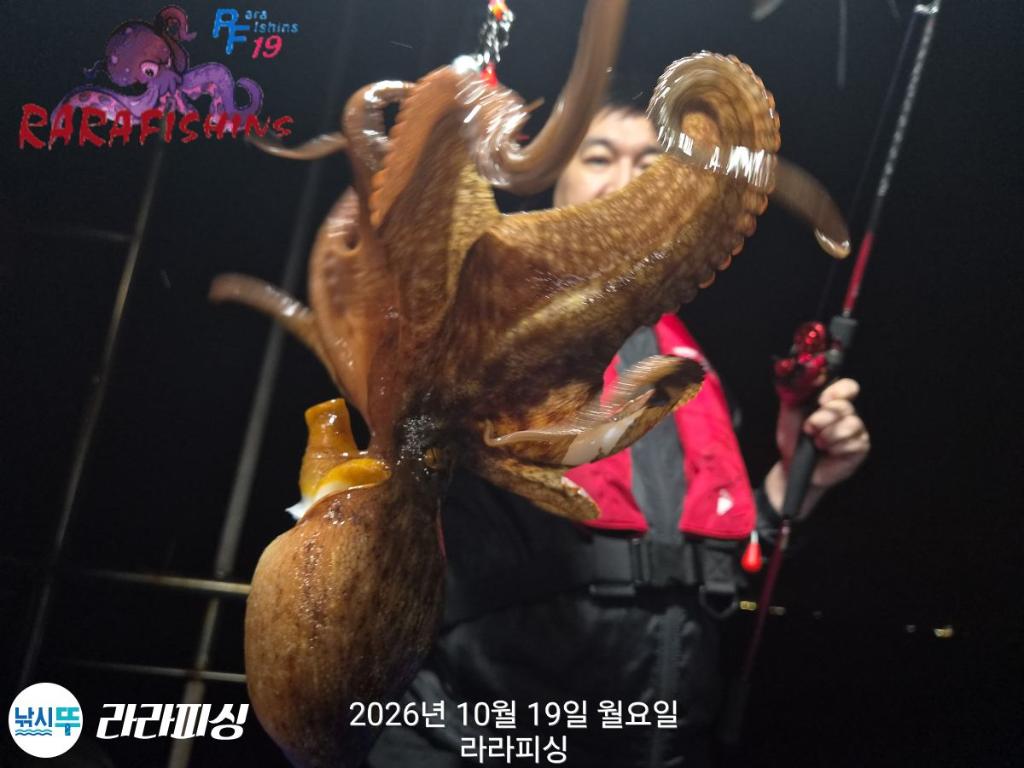 낚시뚜,돌문어,속천항(진해),라라피싱,낚시뚜12