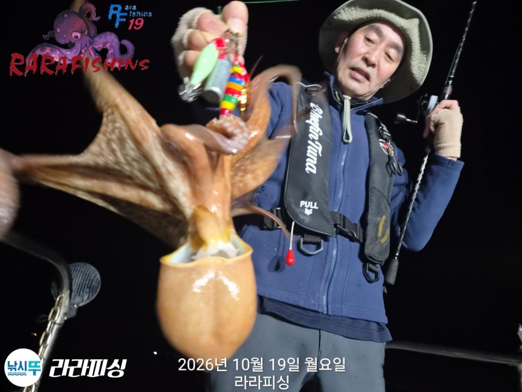 낚시뚜,돌문어,속천항(진해),라라피싱,낚시뚜11
