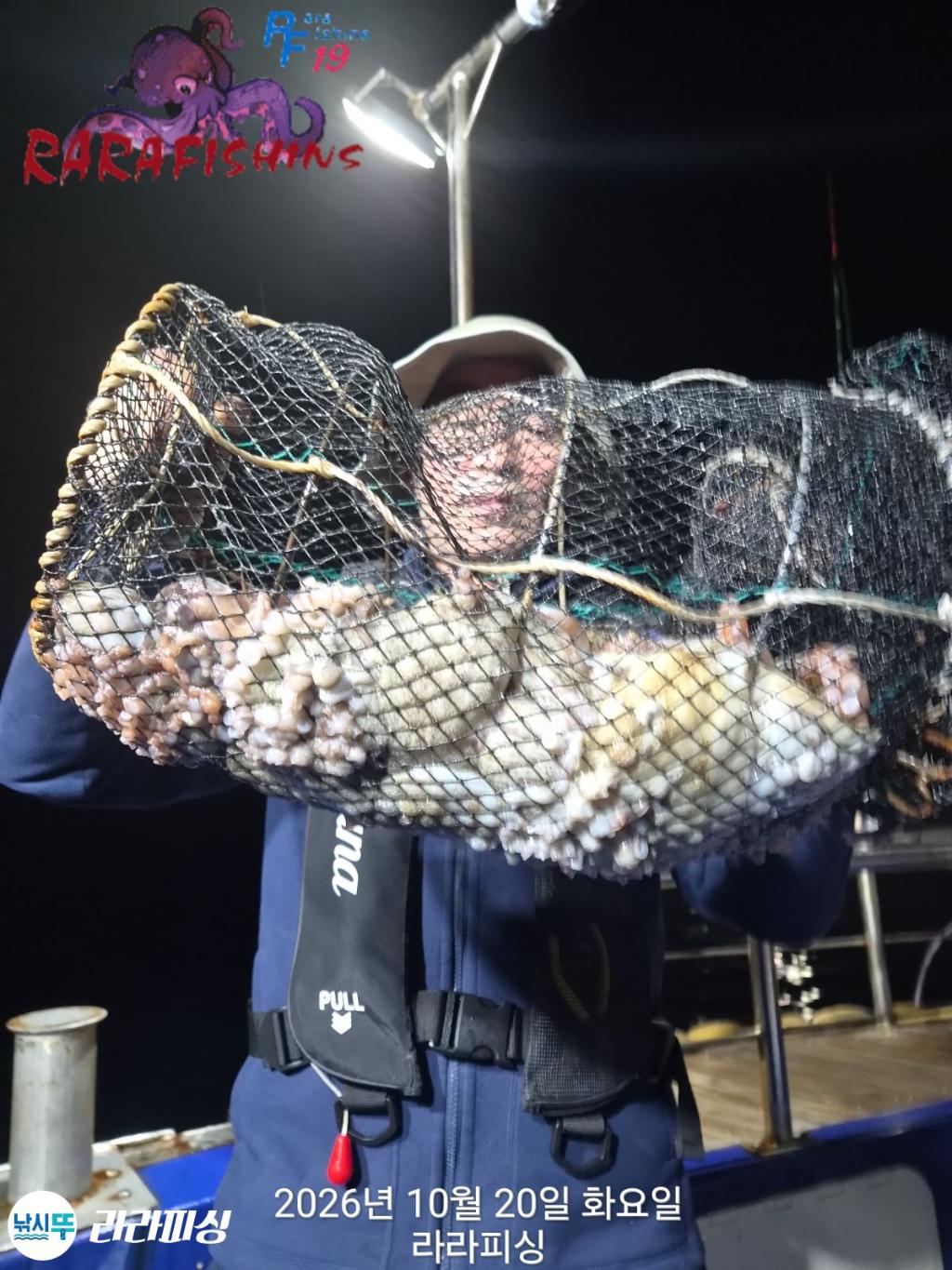 낚시뚜,돌문어,속천항(진해),라라피싱,낚시뚜2