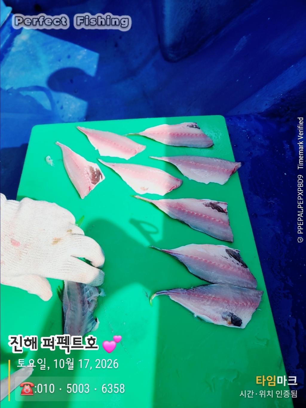 낚시뚜,감성돔,진해 수치마을 방파제,퍼펙트호,낚시뚜5