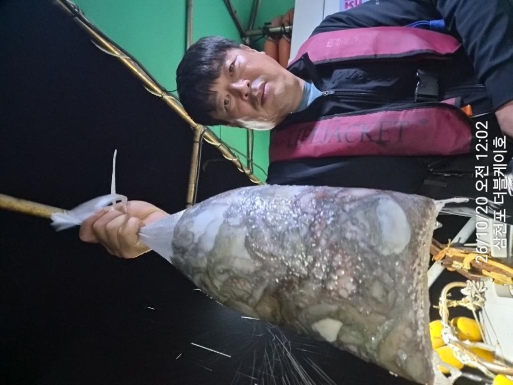 낚시뚜,돌문어,쭈꾸미,삼천포 팔포항,삼천포 더블케이호,낚시뚜39