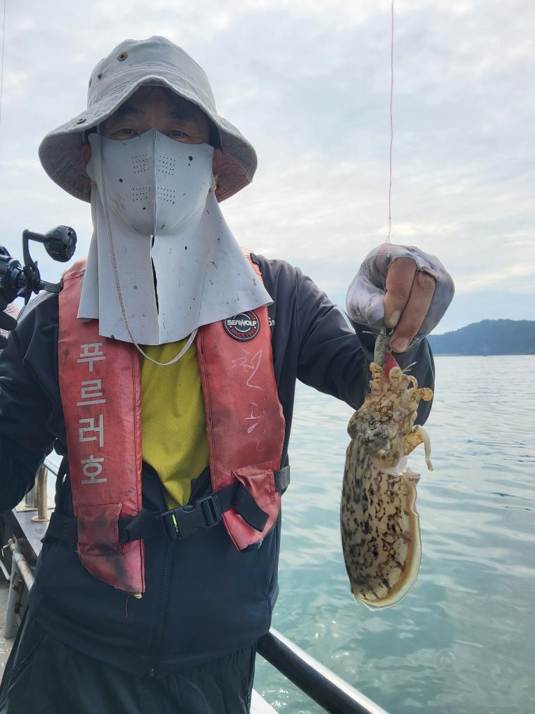 낚시뚜,쭈꾸미,오천항,푸르러호(뉴해양호),낚시뚜9