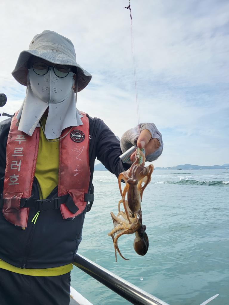 낚시뚜,쭈꾸미,오천항,푸르러호(뉴해양호),낚시뚜12