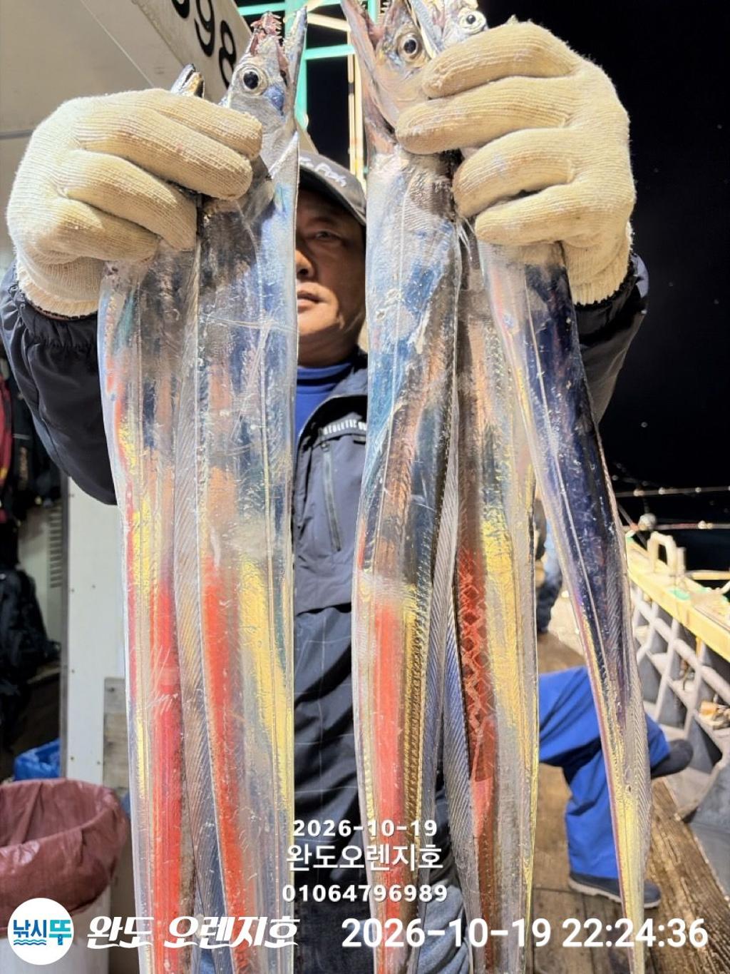 낚시뚜,갈치,완도항,완도 오렌지호,낚시뚜8