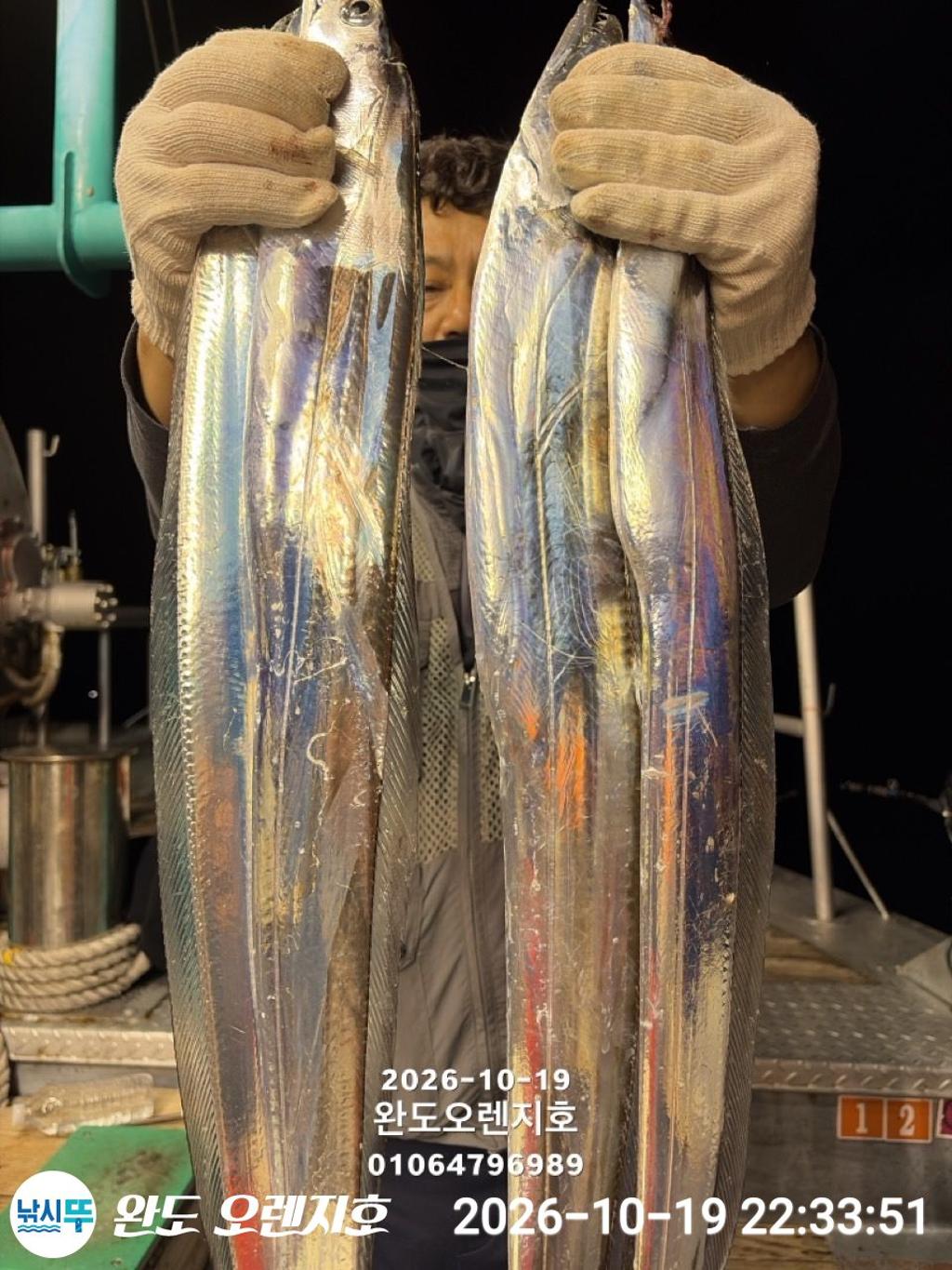 낚시뚜,갈치,완도항,완도 오렌지호,낚시뚜6