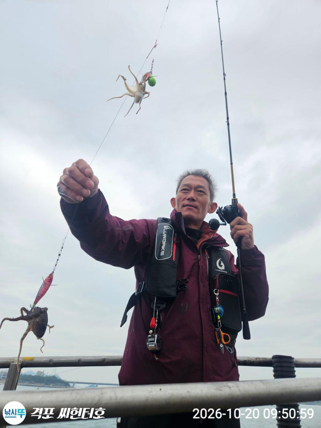 낚시뚜,갑오징어,격포,격포 씨헌터호,낚시뚜1