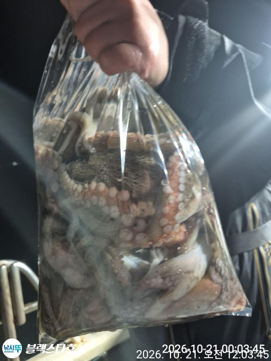 낚시뚜,돌문어,삼천포 팔포항,삼천포 블랙스타,낚시뚜21