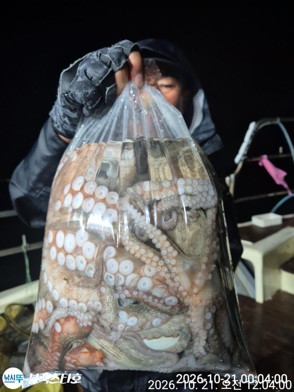 낚시뚜,돌문어,삼천포 팔포항,삼천포 블랙스타,낚시뚜20