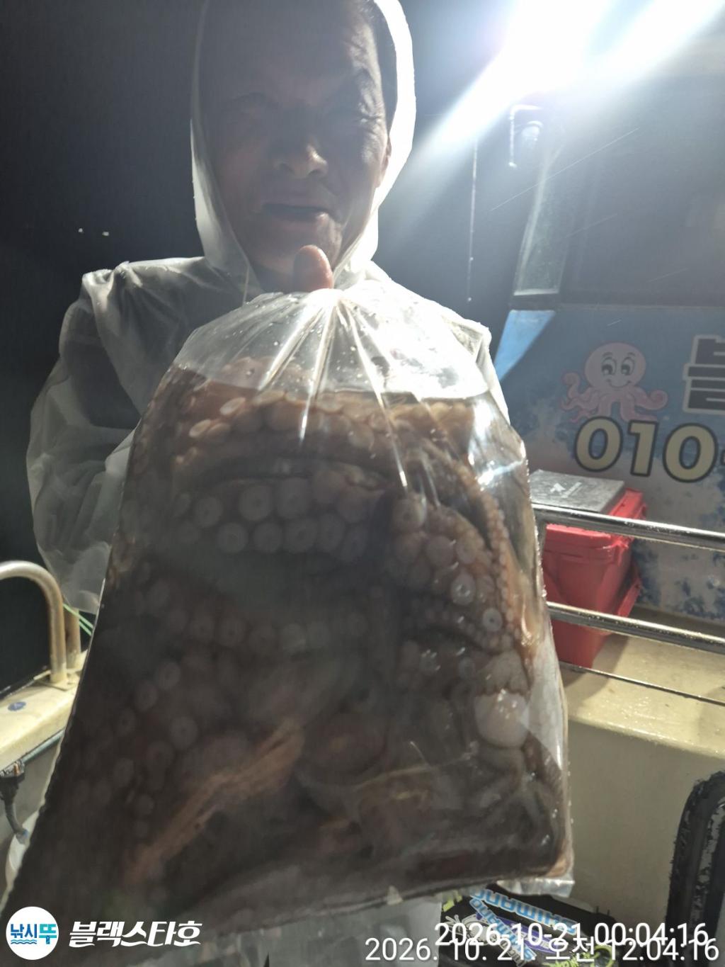 낚시뚜,돌문어,삼천포 팔포항,삼천포 블랙스타,낚시뚜19
