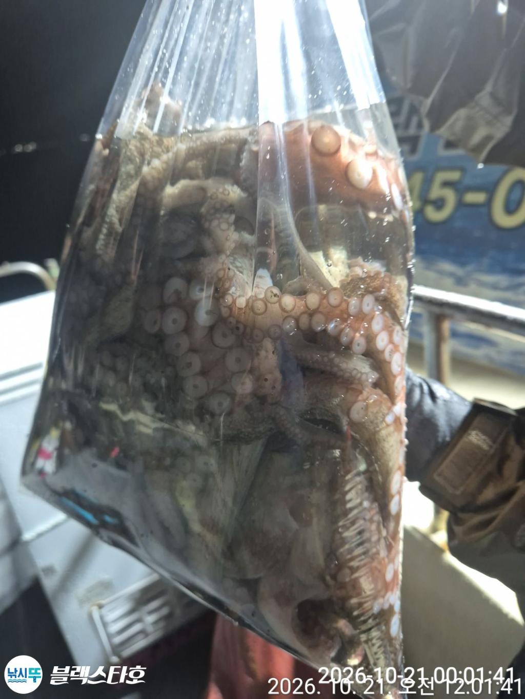 낚시뚜,돌문어,삼천포 팔포항,삼천포 블랙스타,낚시뚜14