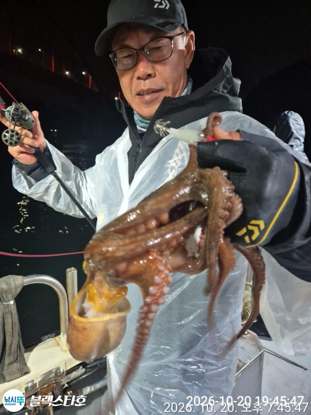 낚시뚜,돌문어,삼천포 팔포항,삼천포 블랙스타,낚시뚜10