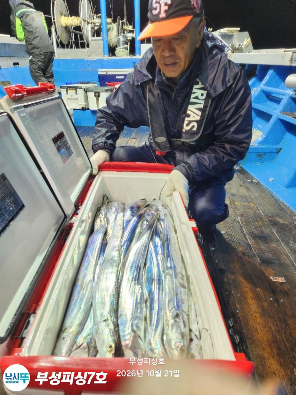 낚시뚜,갈치,통영영운리항,부성피싱7호,낚시뚜8