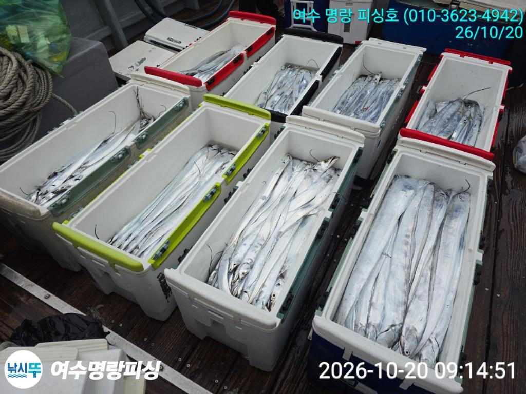 낚시뚜,갈치,국동항,여수명랑피싱,낚시뚜6
