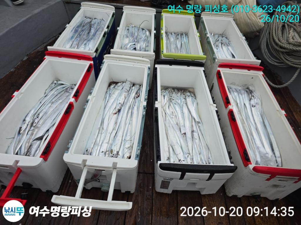 낚시뚜,갈치,국동항,여수명랑피싱,낚시뚜5