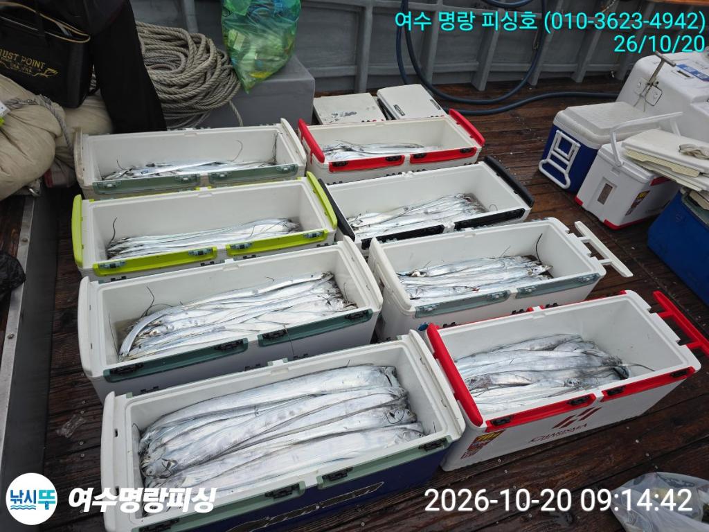 낚시뚜,갈치,국동항,여수명랑피싱,낚시뚜4