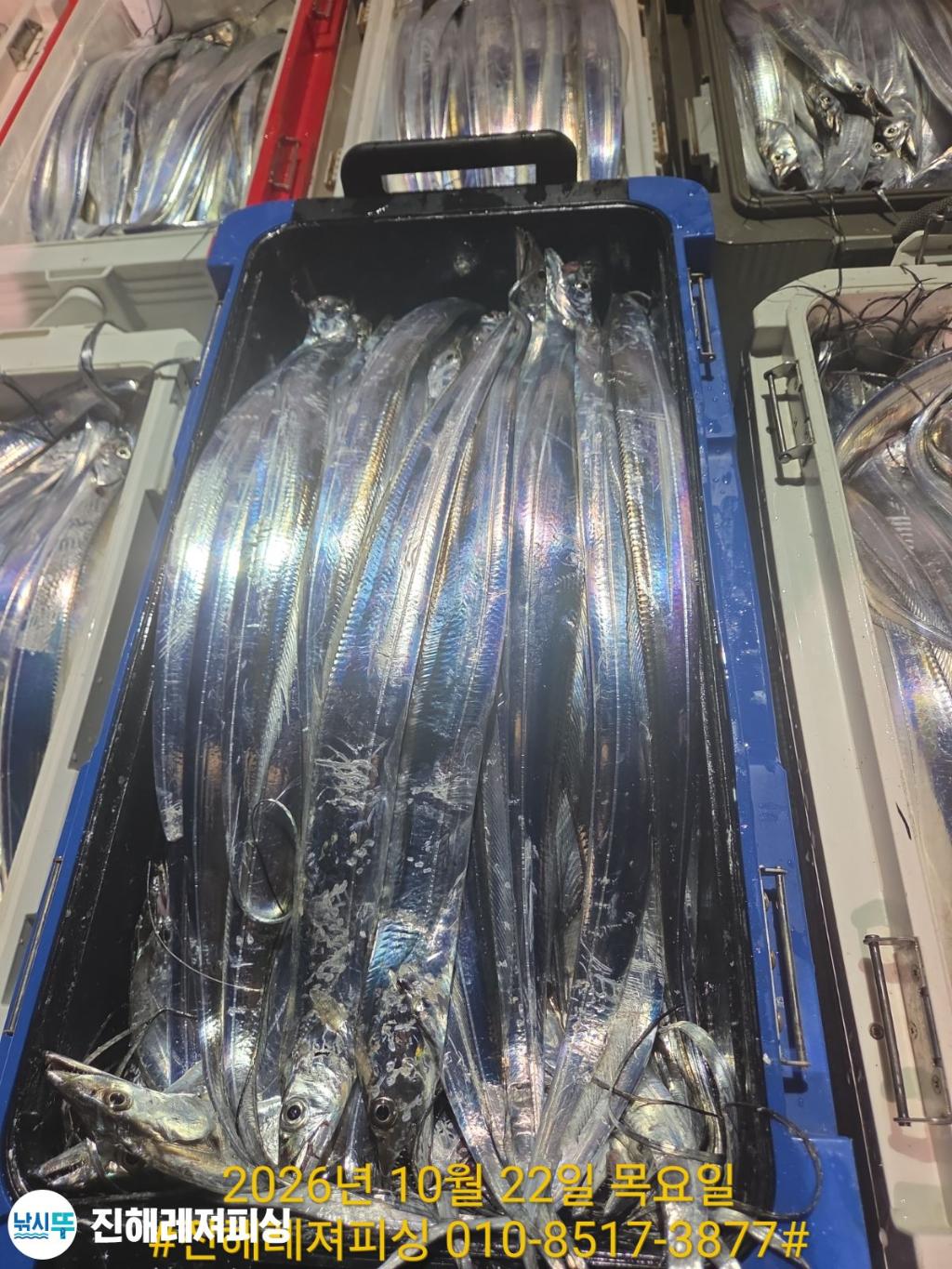 낚시뚜,갈치,진해1부두항,진해레져피싱,낚시뚜9