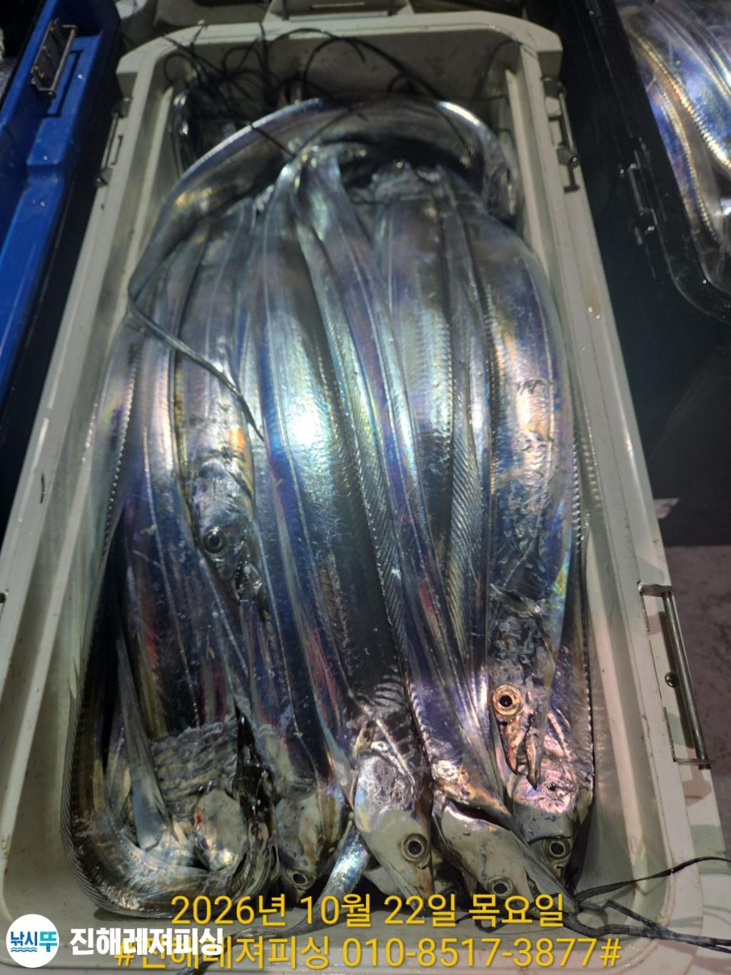낚시뚜,갈치,진해1부두항,진해레져피싱,낚시뚜8