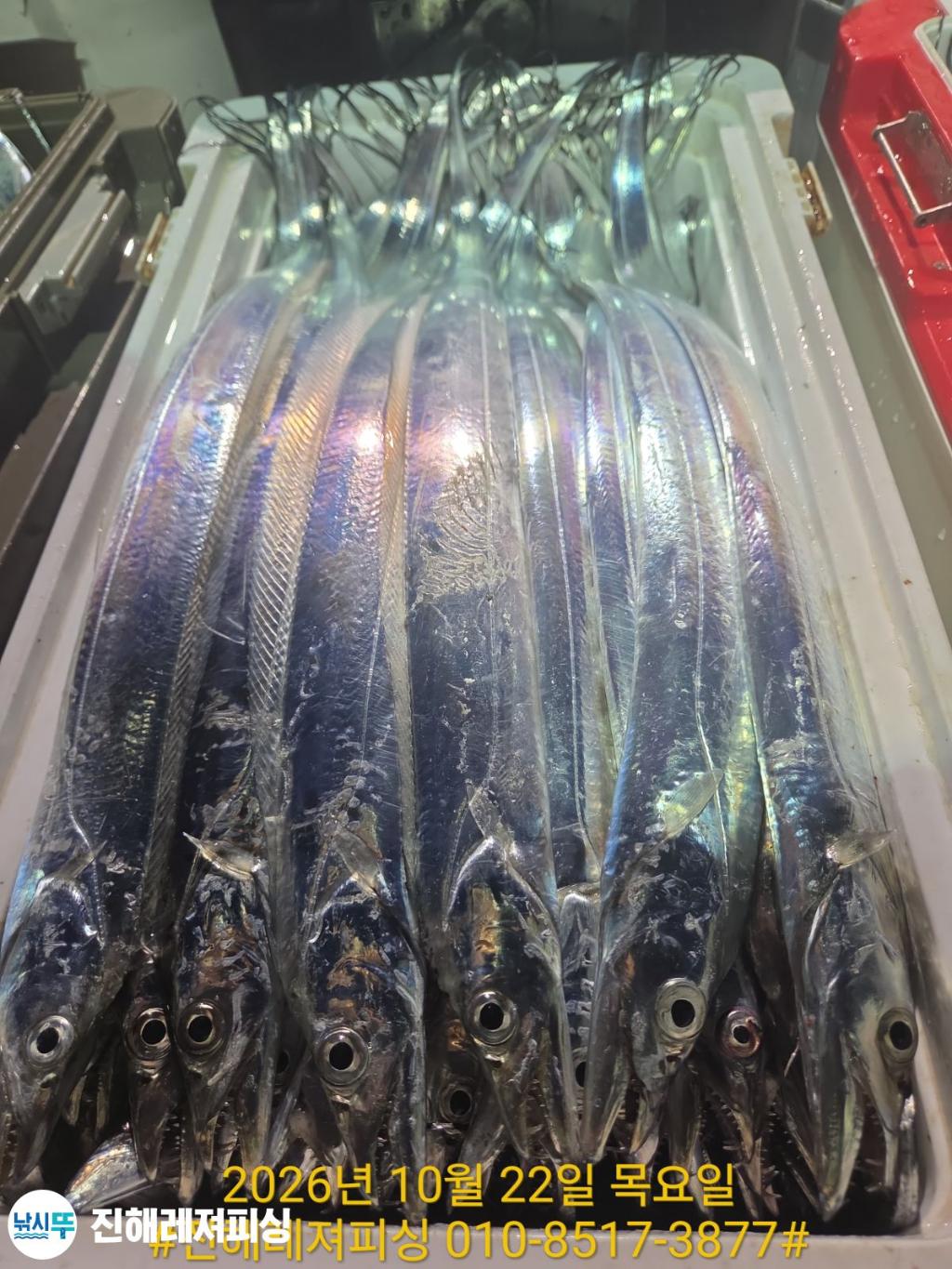 낚시뚜,갈치,진해1부두항,진해레져피싱,낚시뚜7