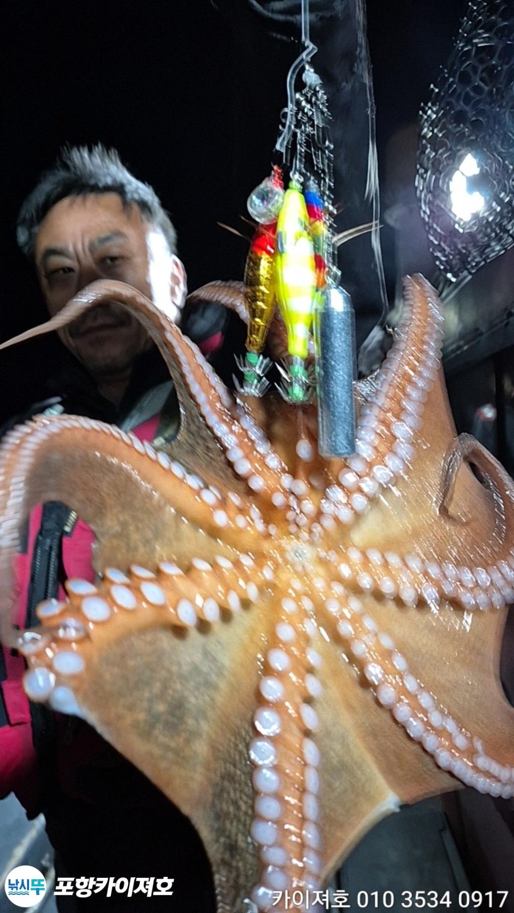 낚시뚜,돌문어,영일만항,포항카이져호,낚시뚜36
