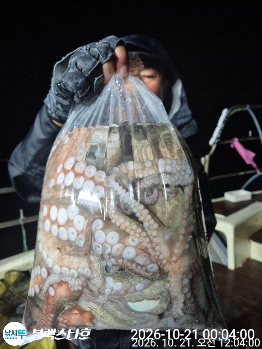 낚시뚜,돌문어,삼천포 팔포항,삼천포 블랙스타,낚시뚜3