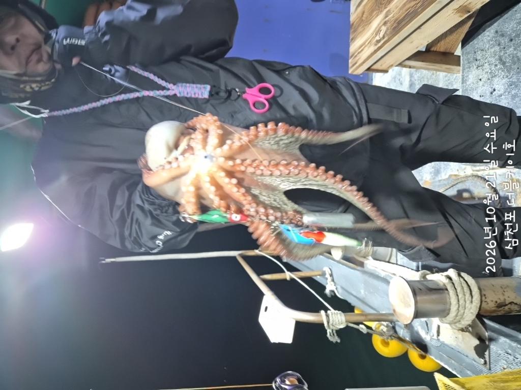낚시뚜,돌문어,쭈꾸미,삼천포 팔포항,삼천포 더블케이호,낚시뚜15
