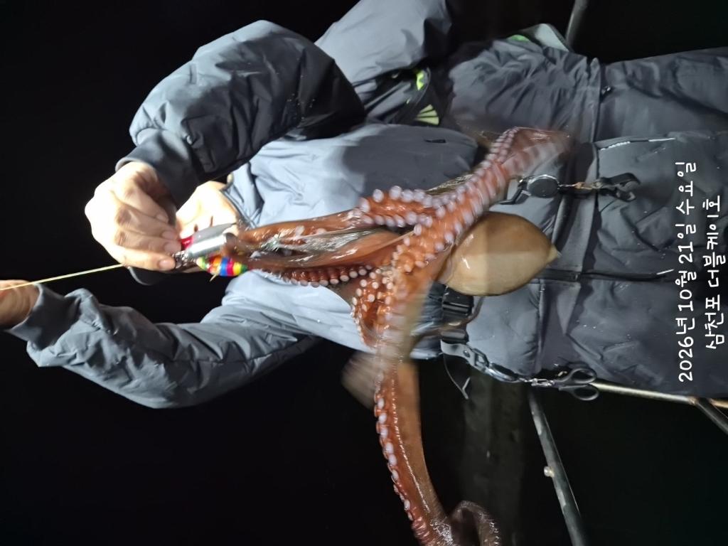 낚시뚜,돌문어,쭈꾸미,삼천포 팔포항,삼천포 더블케이호,낚시뚜13