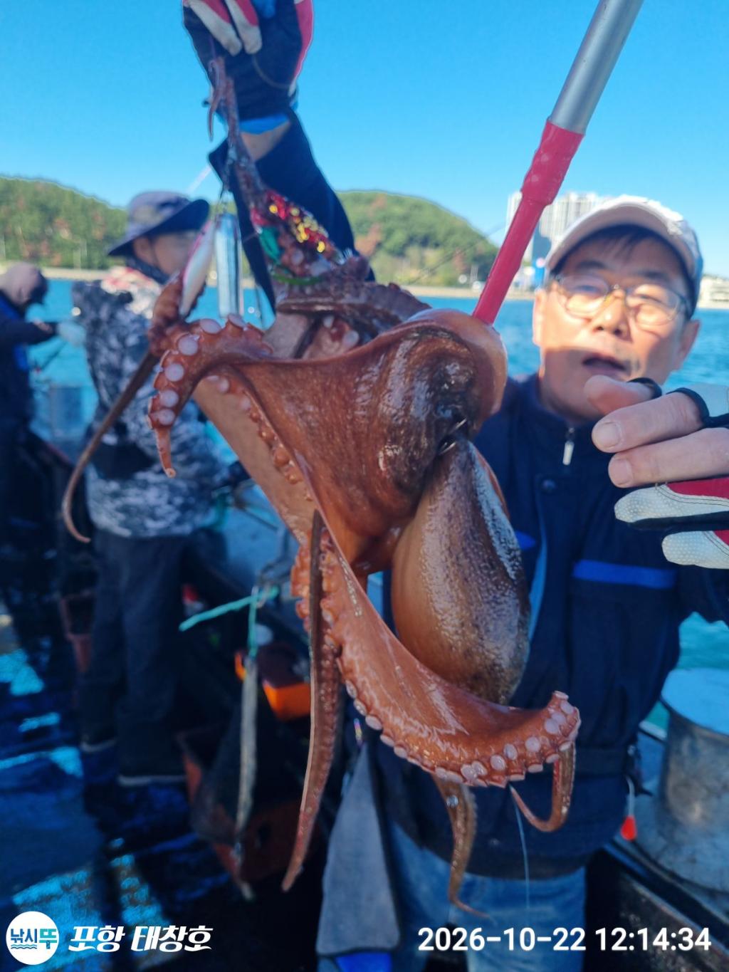 낚시뚜,돌문어,영일만항,포항 태창호,낚시뚜7