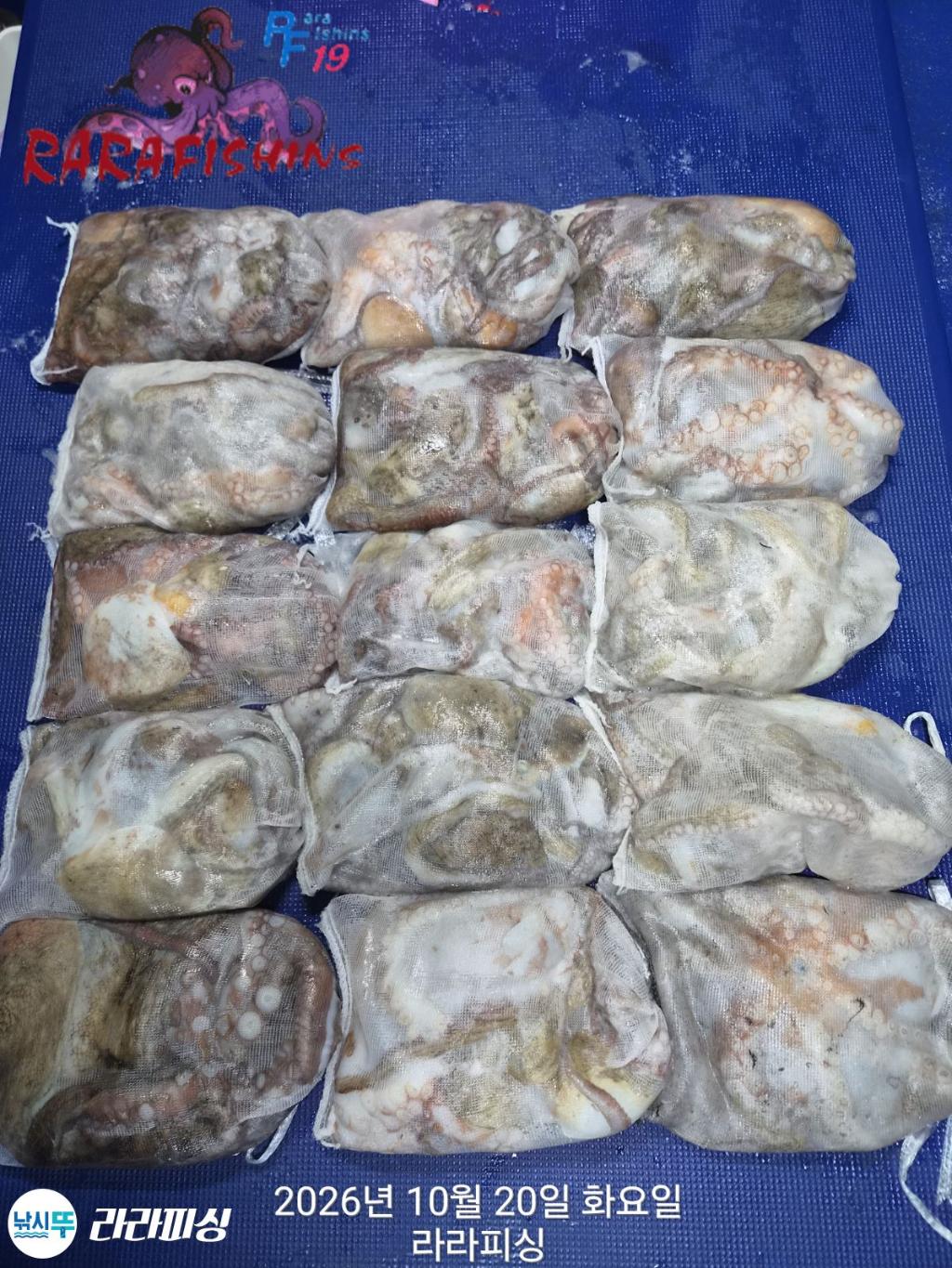 낚시뚜,돌문어,속천항(진해),라라피싱,낚시뚜0
