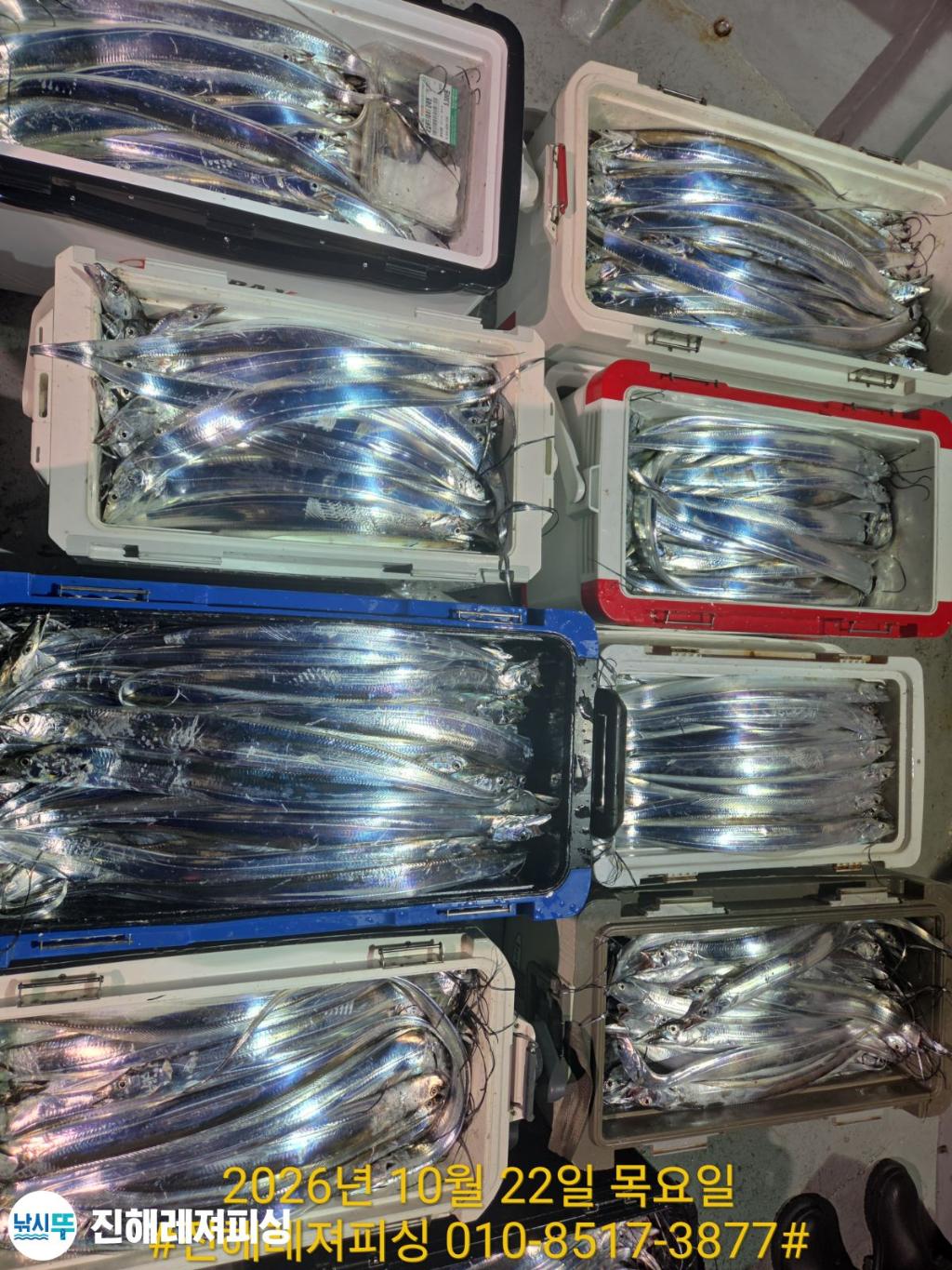 낚시뚜,,진해1부두항,진해레져피싱,낚시뚜12