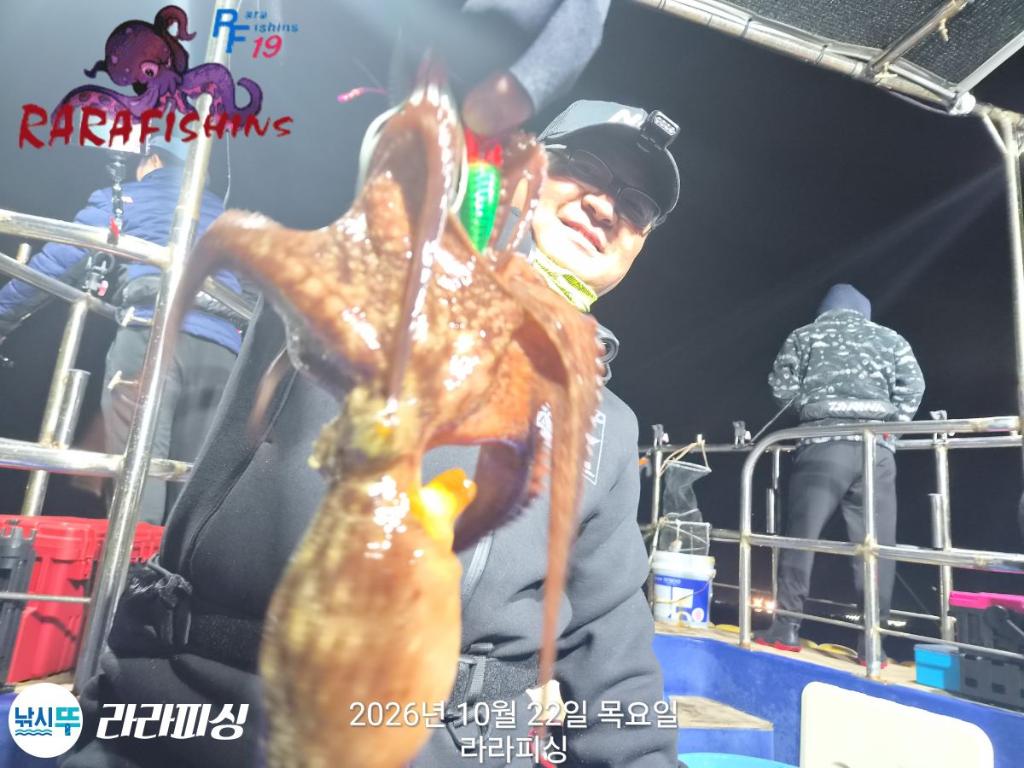 낚시뚜,돌문어,속천항(진해),라라피싱,낚시뚜13