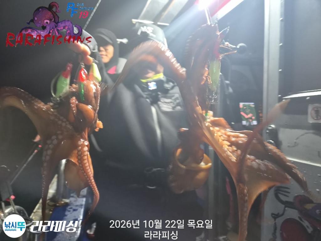 낚시뚜,돌문어,속천항(진해),라라피싱,낚시뚜11