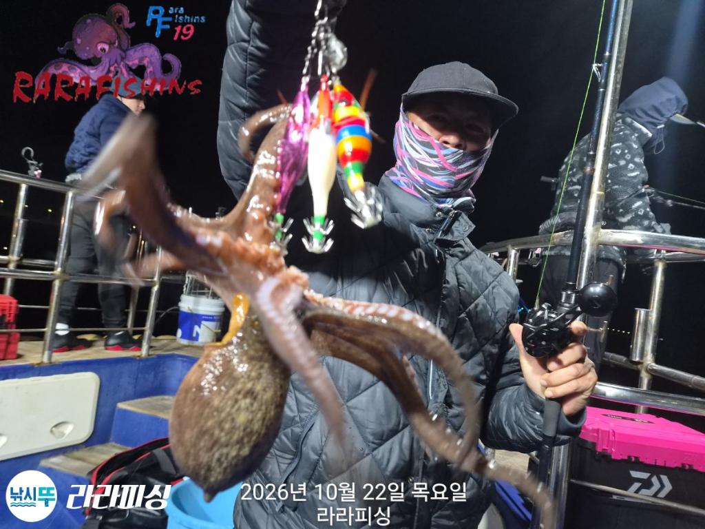 낚시뚜,돌문어,속천항(진해),라라피싱,낚시뚜9