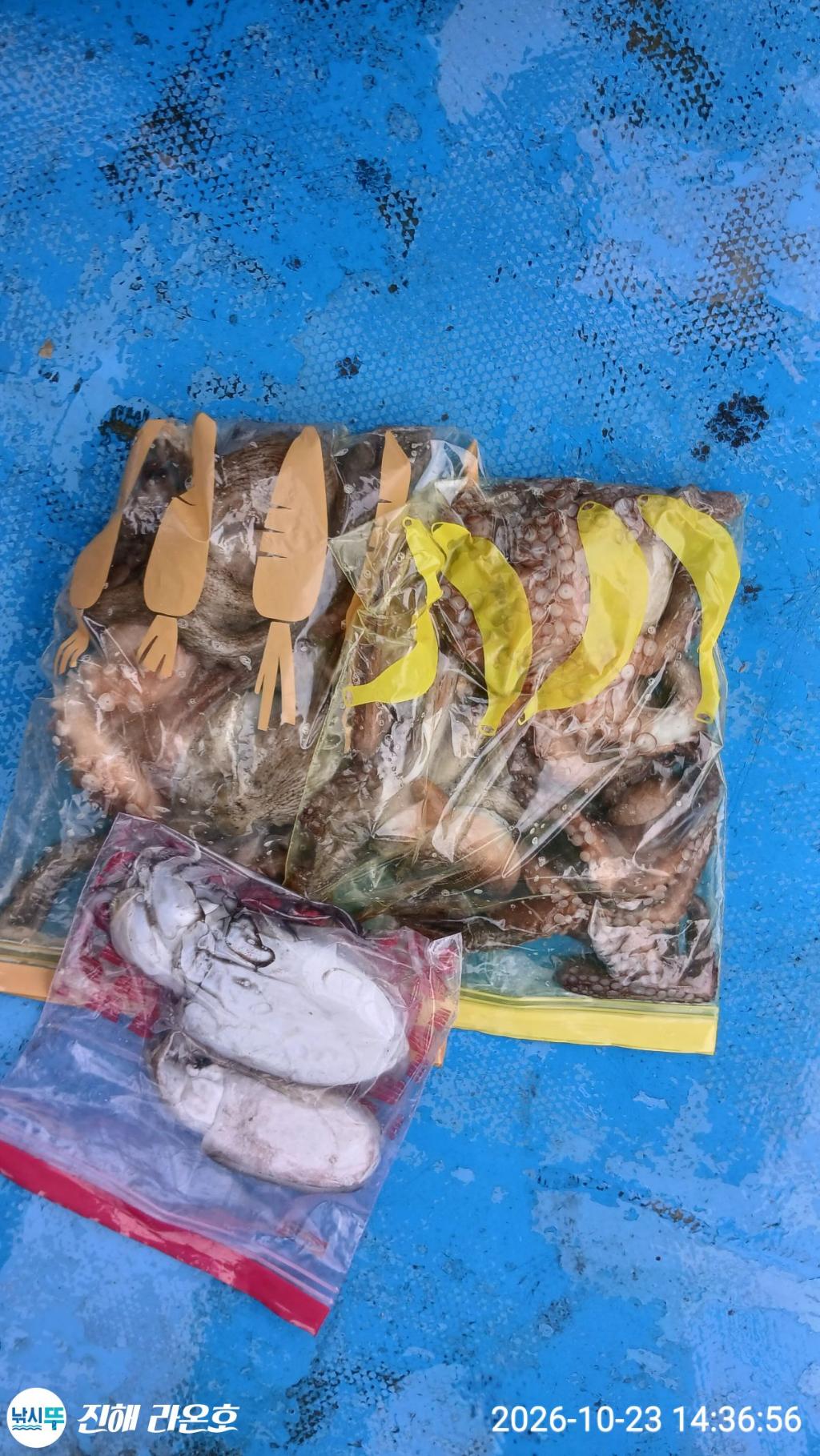 낚시뚜,돌문어,삼포항,진해 라온호,낚시뚜1