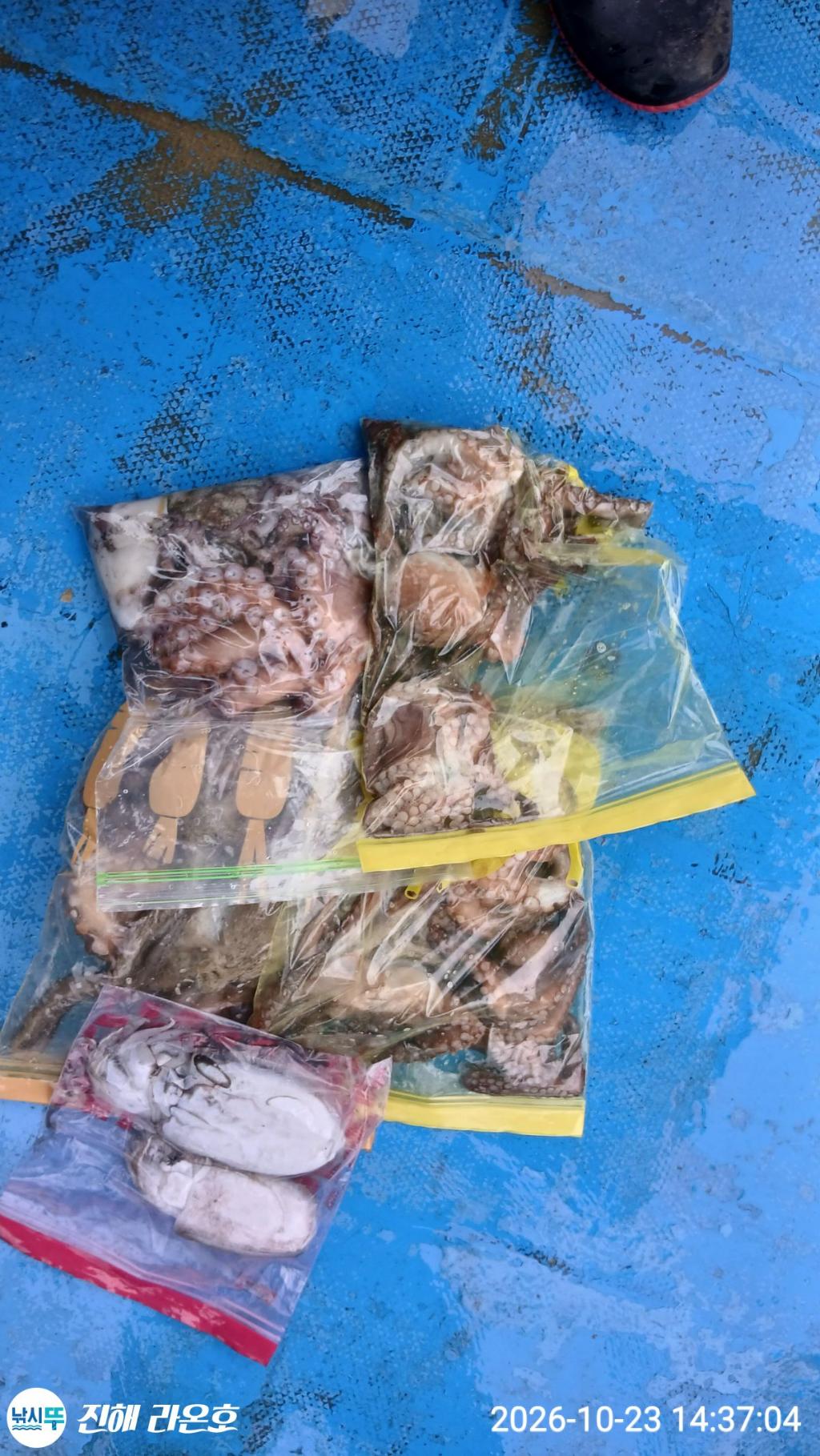 낚시뚜,돌문어,삼포항,진해 라온호,낚시뚜0