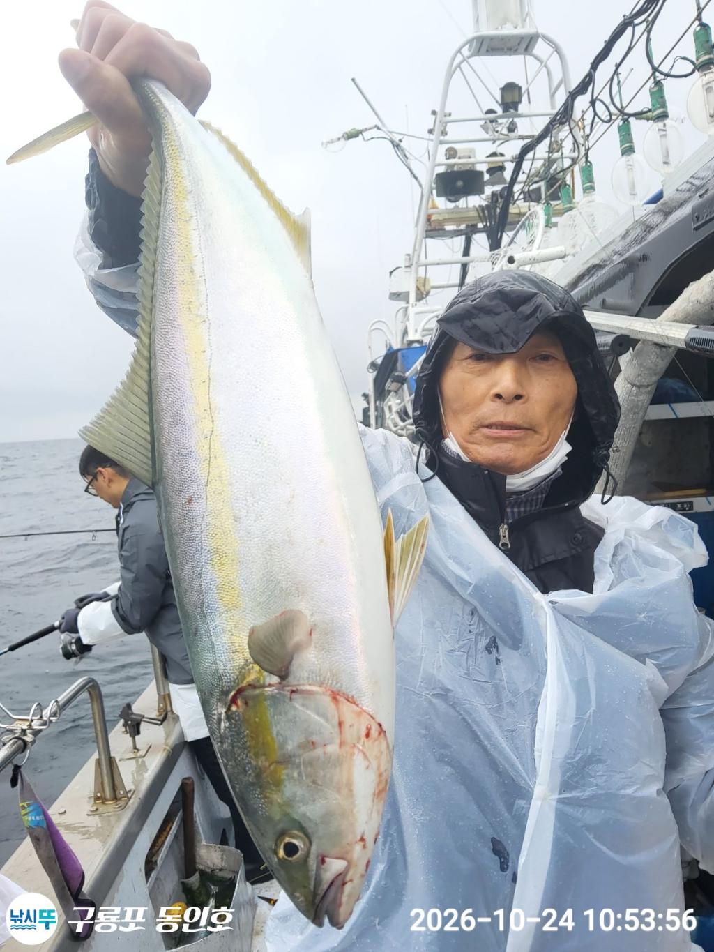 낚시뚜,방어,삼치,구룡포항,구룡포 동인호,낚시뚜4