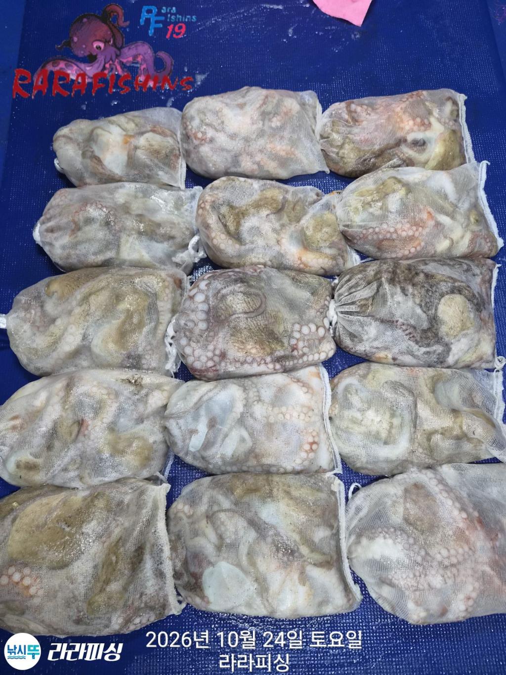 낚시뚜,돌문어,속천항(진해),라라피싱,낚시뚜20