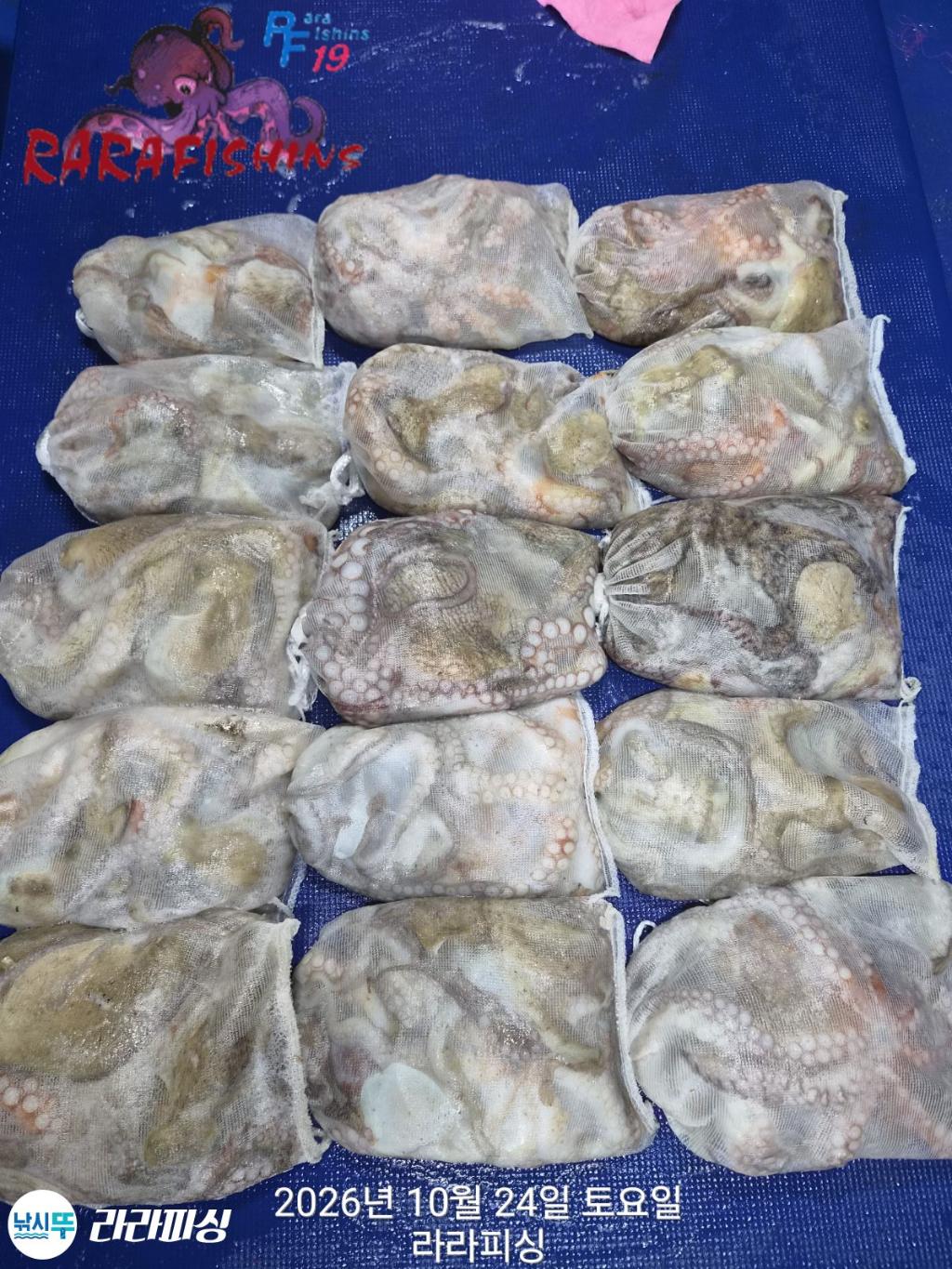 낚시뚜,돌문어,속천항(진해),라라피싱,낚시뚜19