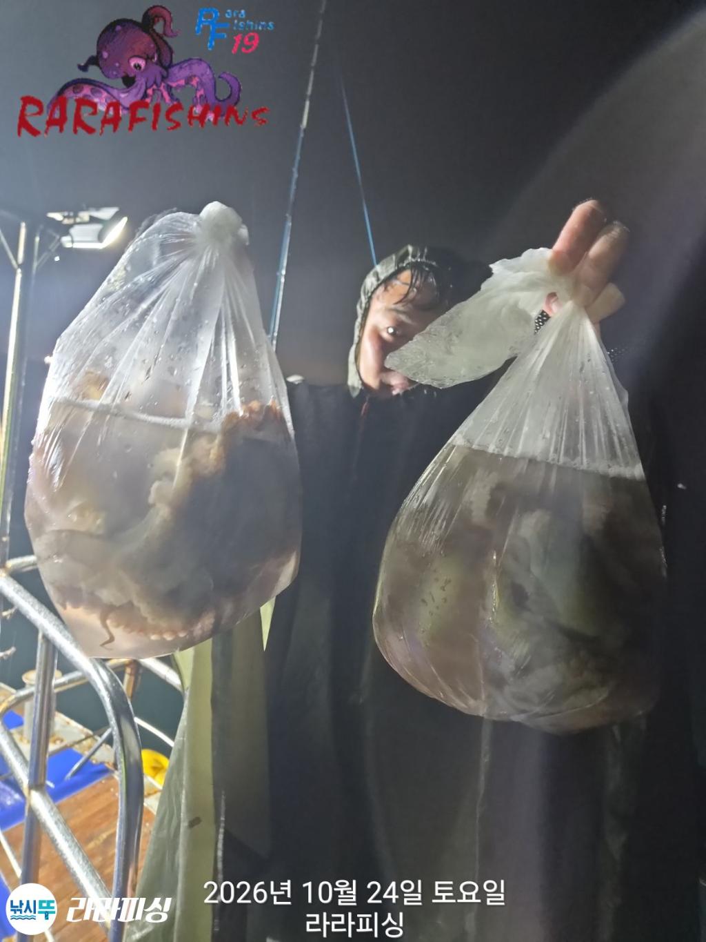 낚시뚜,돌문어,속천항(진해),라라피싱,낚시뚜2