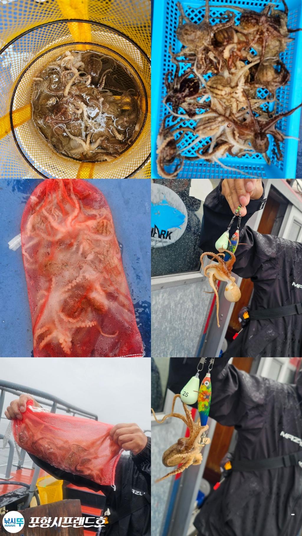 낚시뚜,쭈꾸미,영일만항,포항시프랜드호,낚시뚜0
