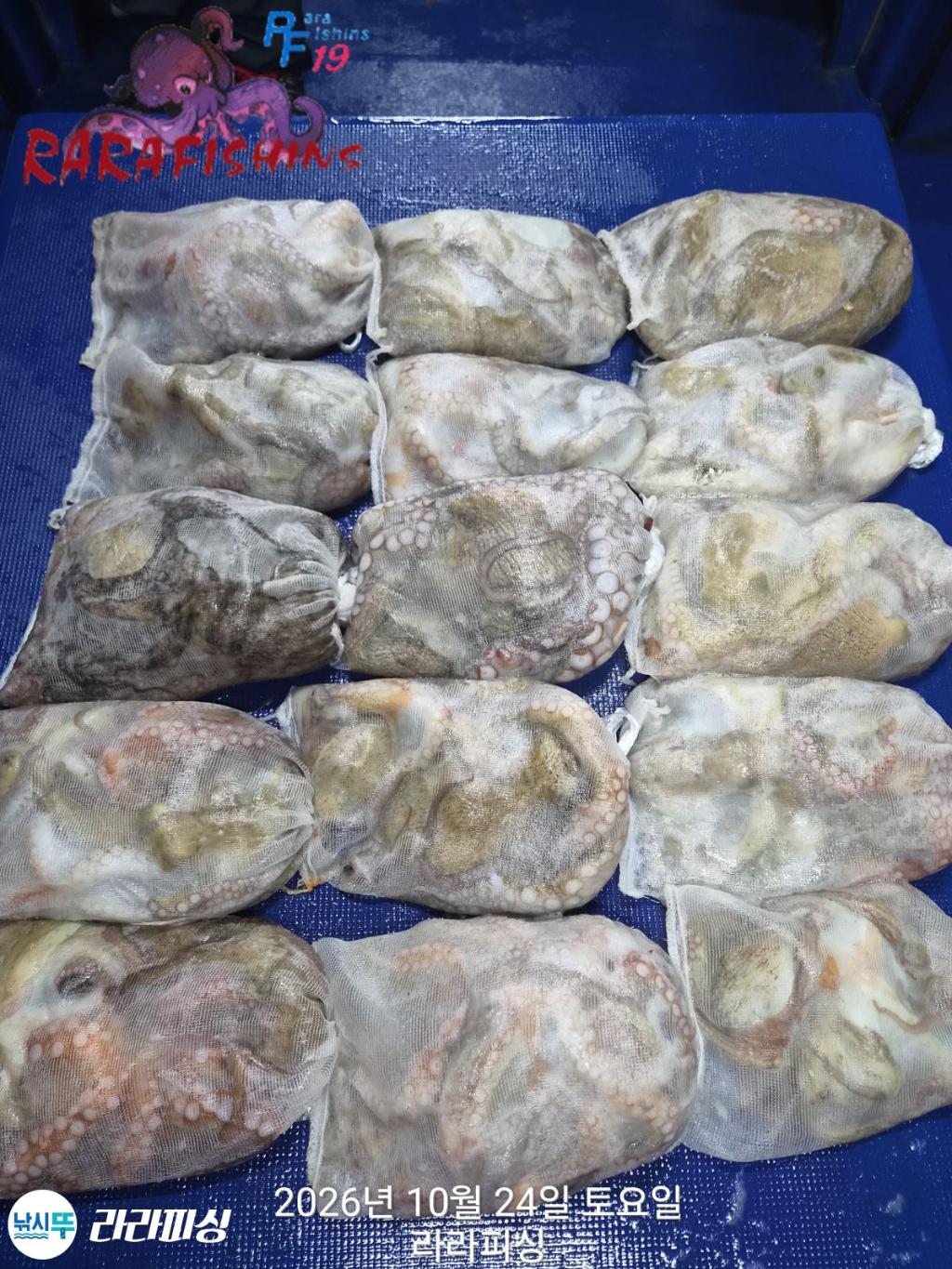 낚시뚜,돌문어,속천항(진해),라라피싱,낚시뚜19