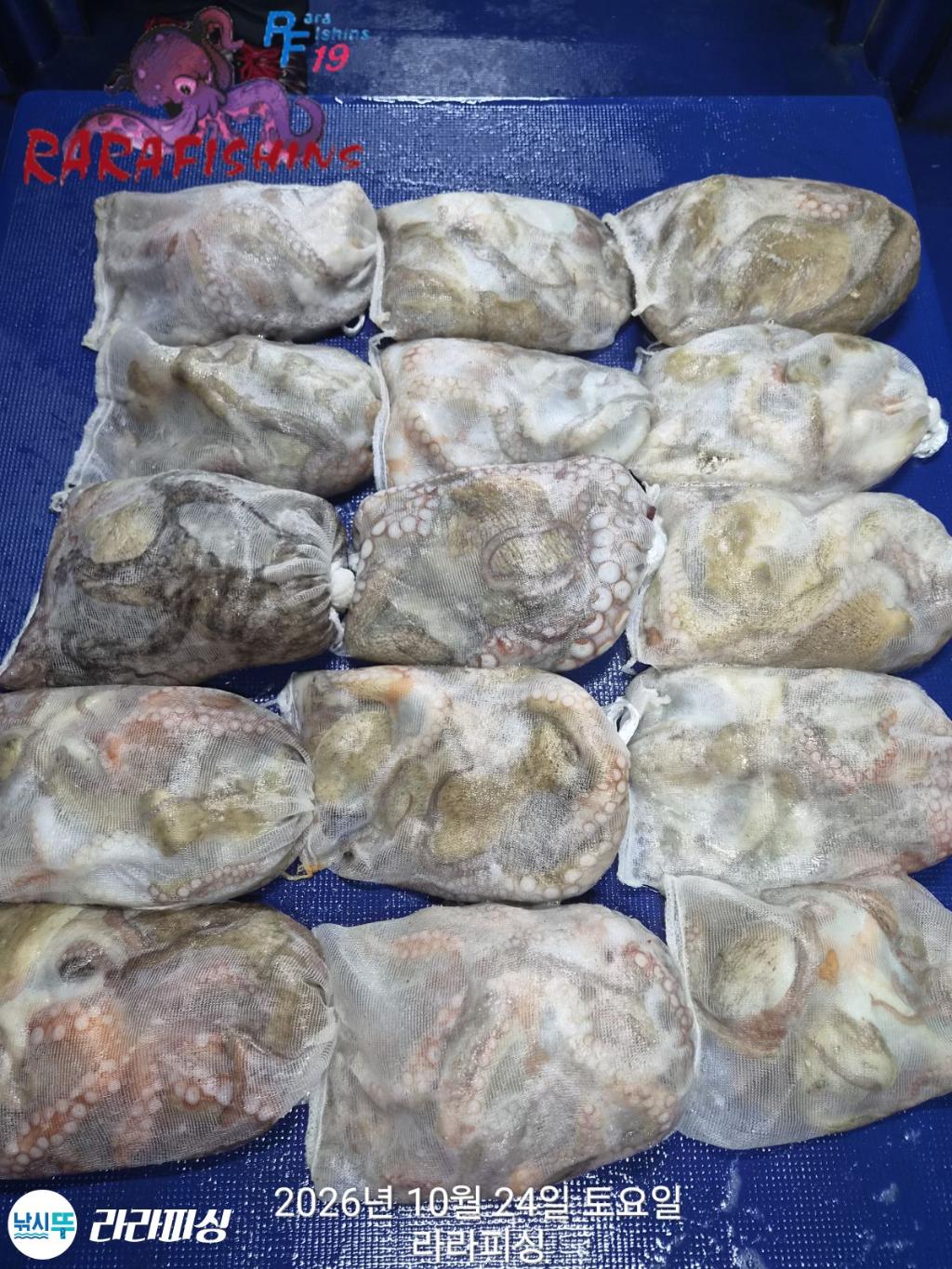 낚시뚜,돌문어,속천항(진해),라라피싱,낚시뚜18
