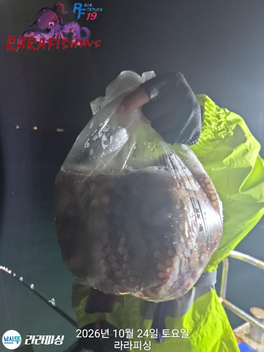 낚시뚜,돌문어,속천항(진해),라라피싱,낚시뚜14