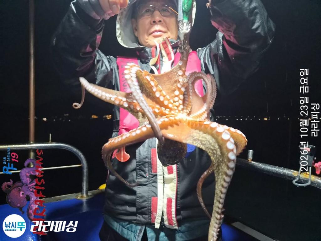 낚시뚜,돌문어,속천항(진해),라라피싱,낚시뚜8