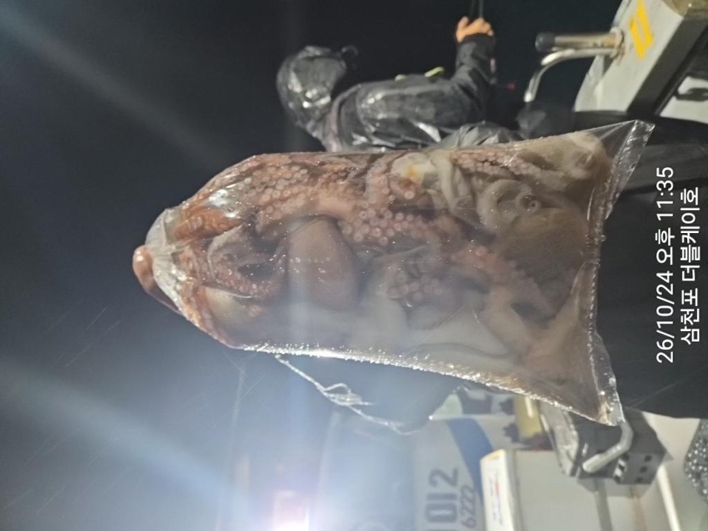 낚시뚜,돌문어,쭈꾸미,삼천포 팔포항,삼천포 더블케이호,낚시뚜21