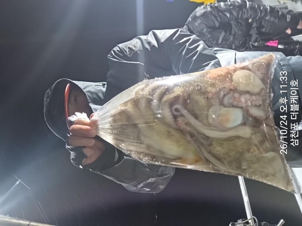 낚시뚜,돌문어,쭈꾸미,삼천포 팔포항,삼천포 더블케이호,낚시뚜20