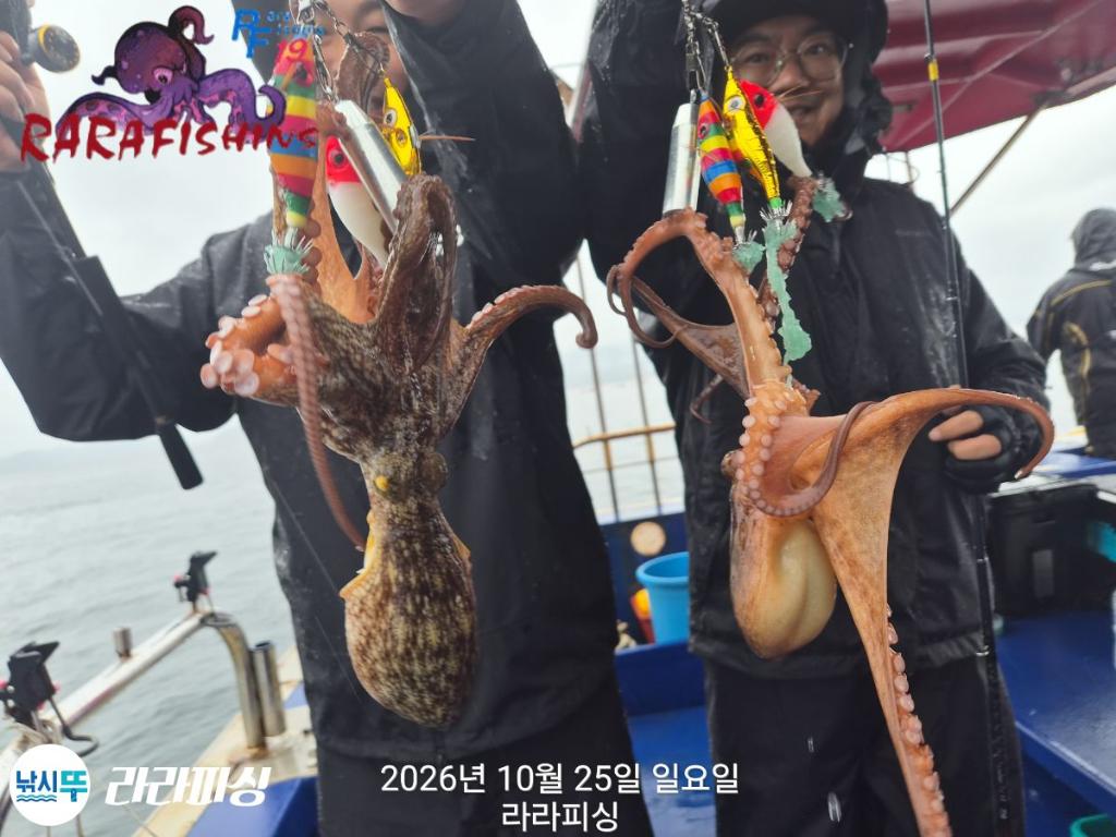 낚시뚜,돌문어,속천항(진해),라라피싱,낚시뚜8